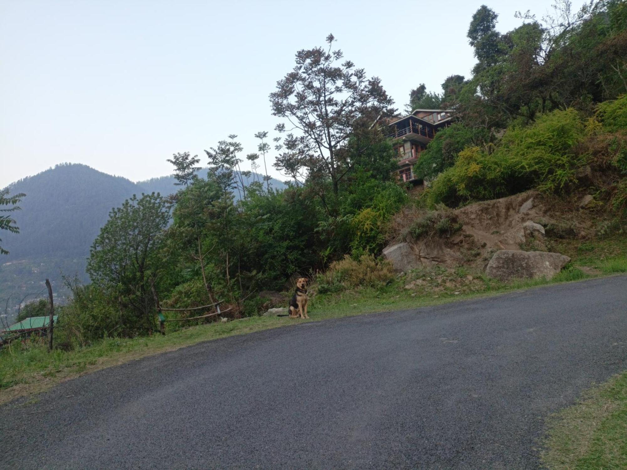 Tirthan Hilltop Home Stay Banjar Экстерьер фото