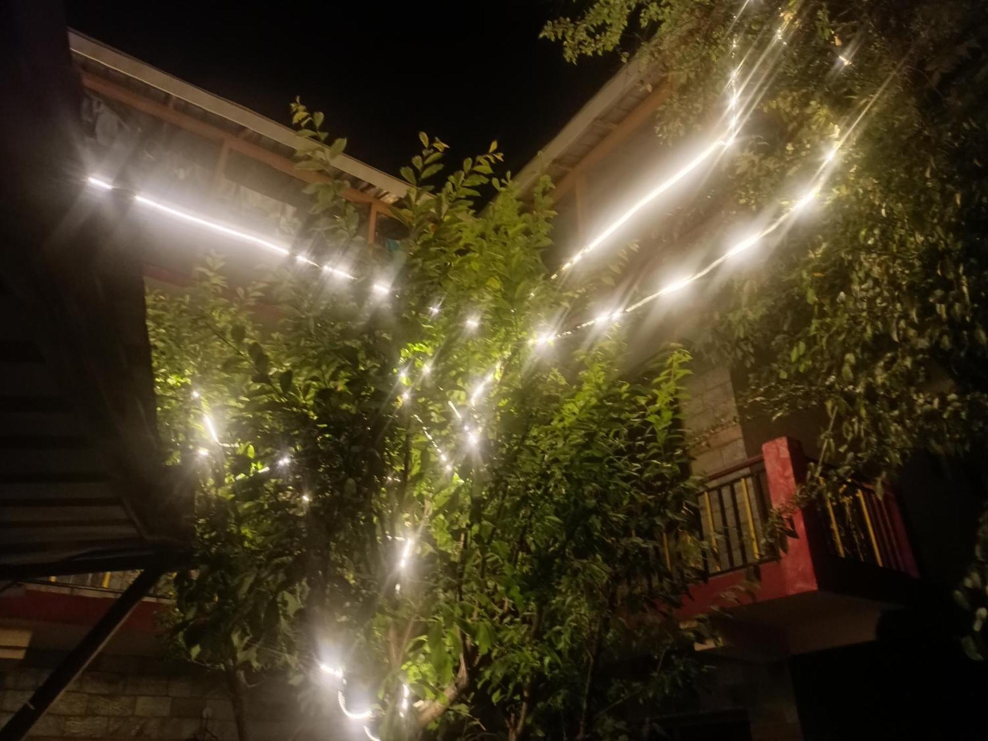 Tirthan Hilltop Home Stay Banjar Экстерьер фото