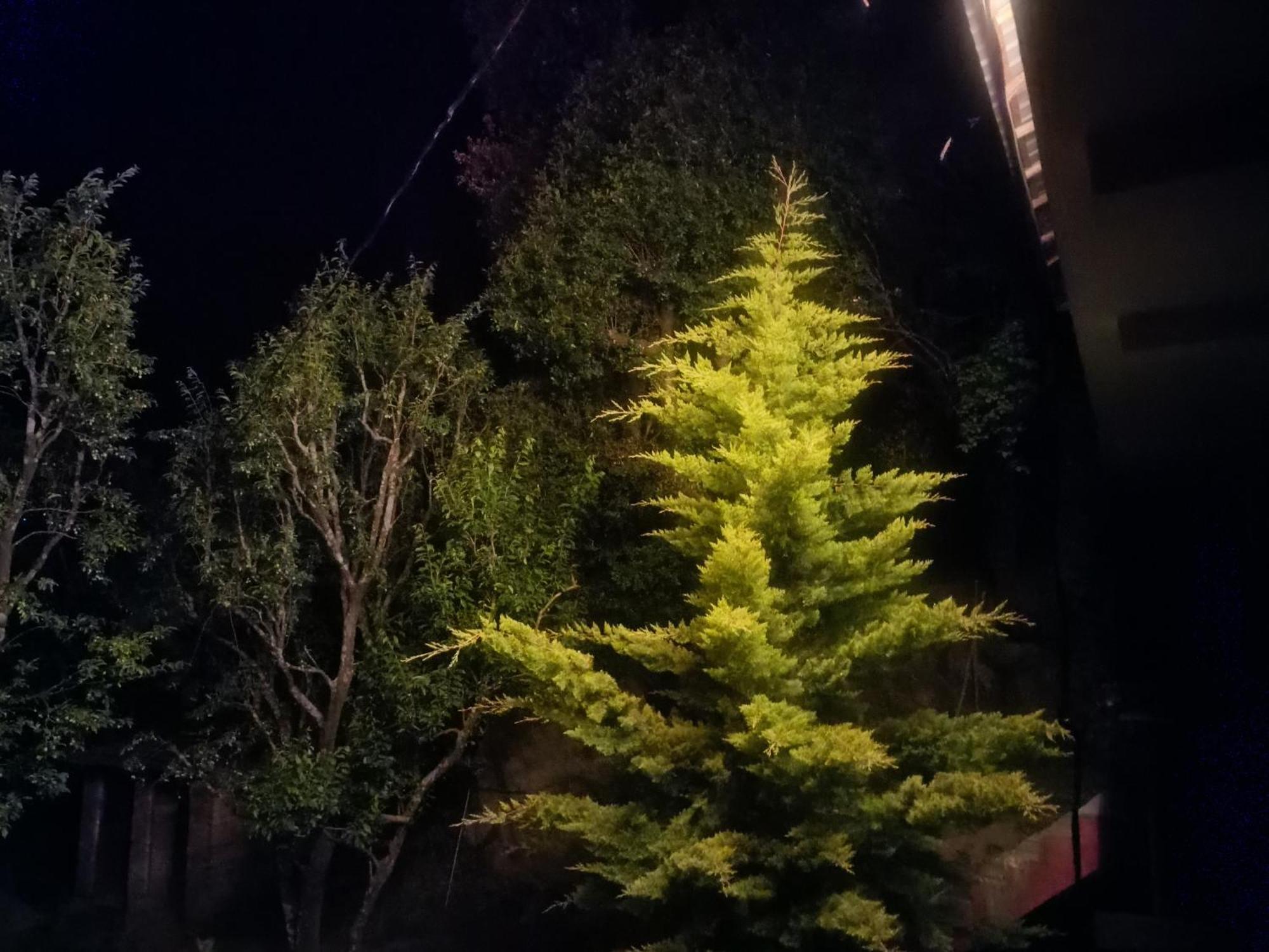 Tirthan Hilltop Home Stay Banjar Экстерьер фото